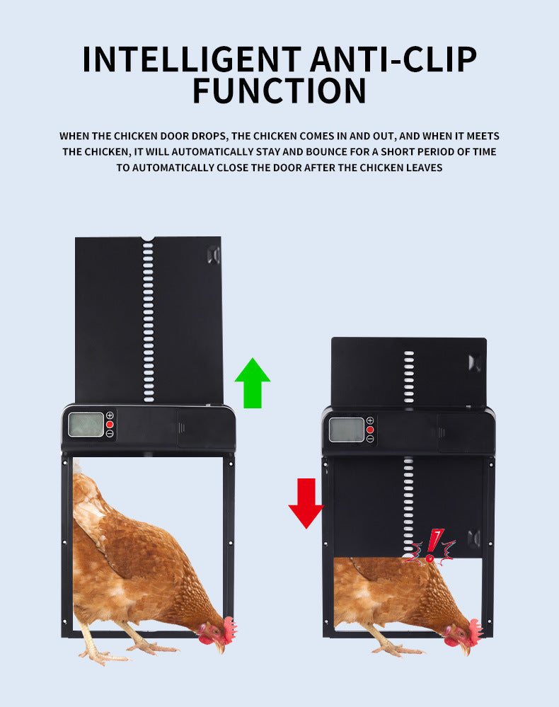 Automatic Chicken Coop Display Timing Door