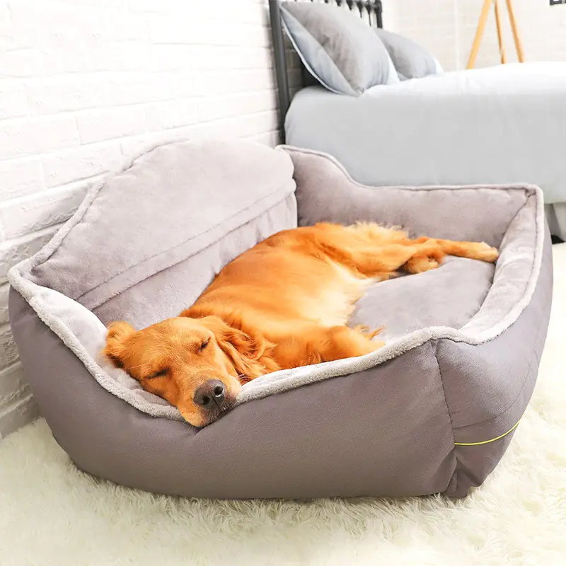 Waterproof High-Back Pet Bed for Dogs and Puppies