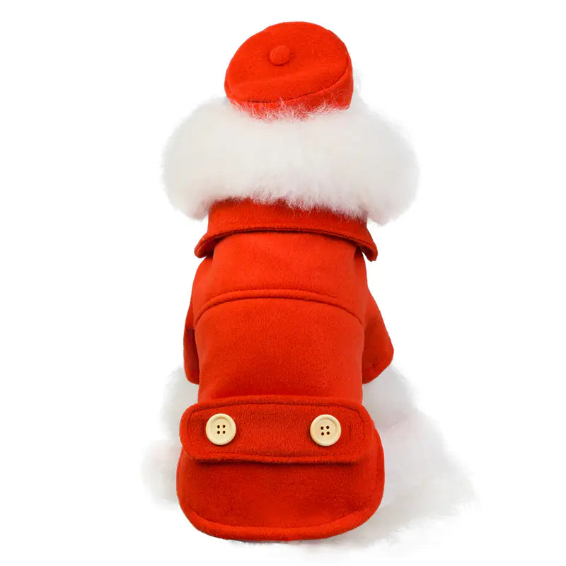 New Autumn Winter Pet Dog Clothes 2019 Collection