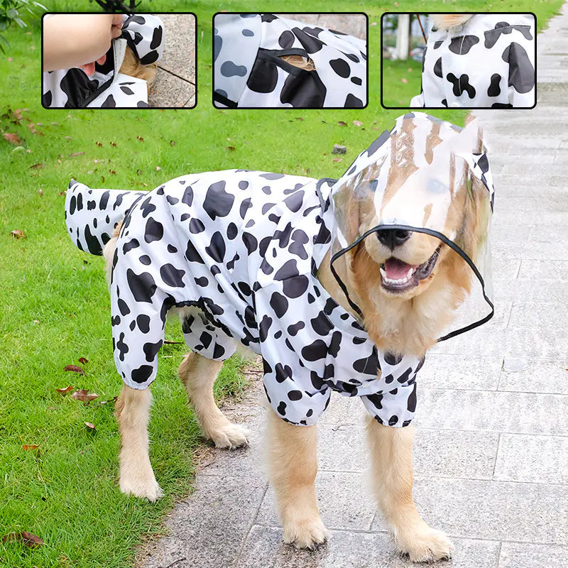 All-Inclusive Raincoat for Four-Legged Pets