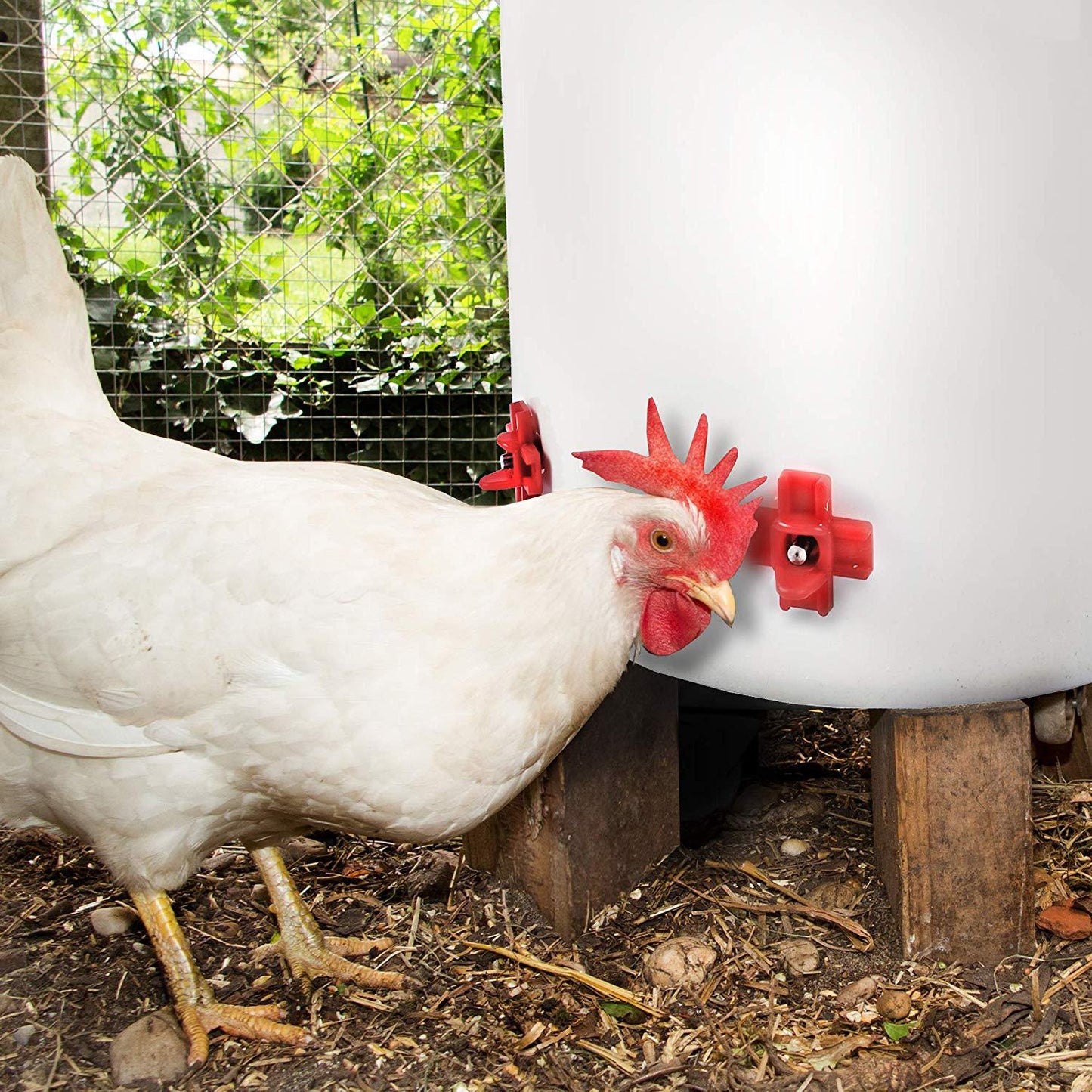 Horizontal Side Mount Chicken Waterer