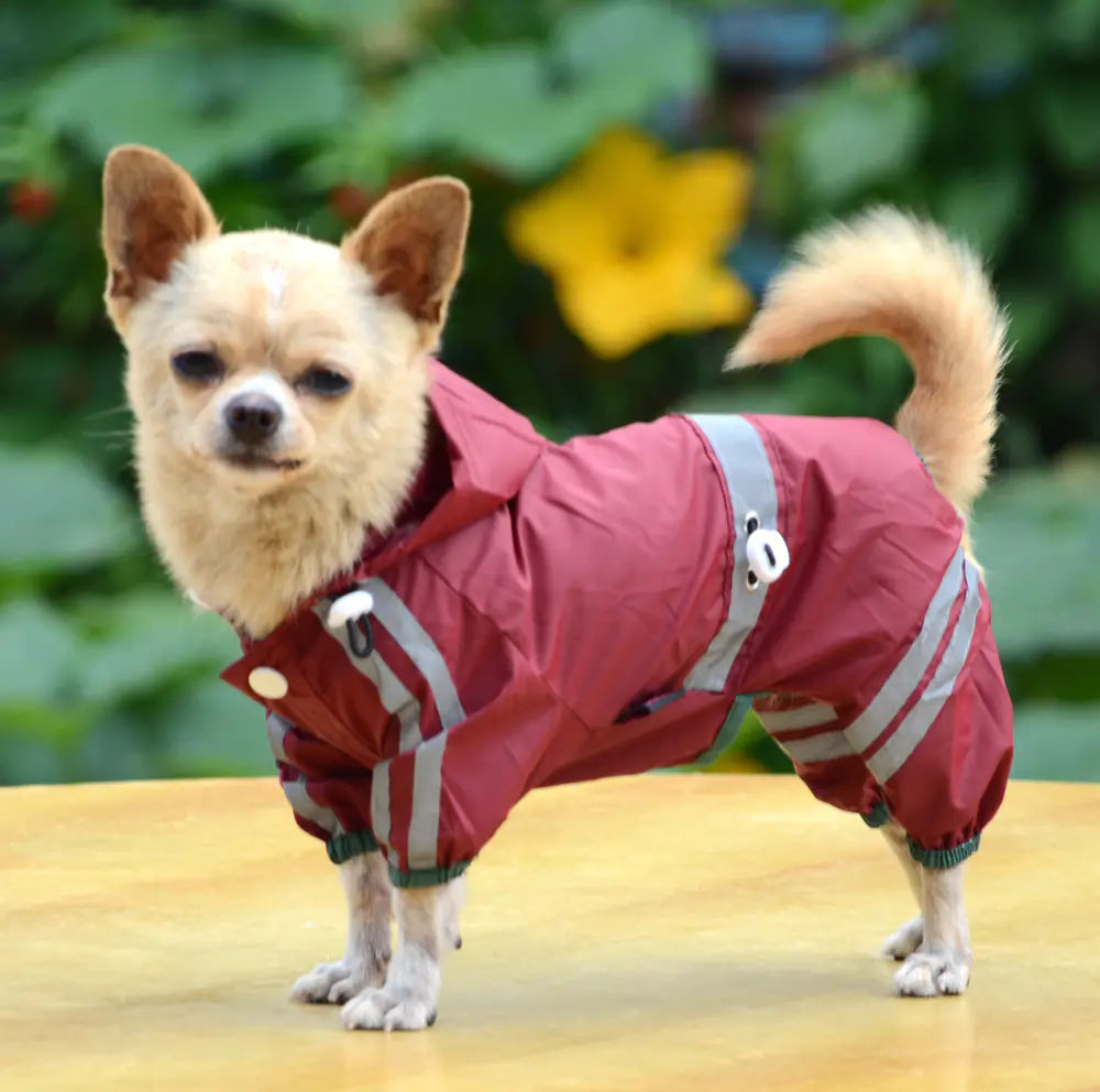 Reflective PVC Raincoat for Dogs - Pet Apparel