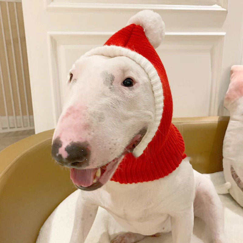 Fashion Simple Pet Autumn And Winter Woolen Hat