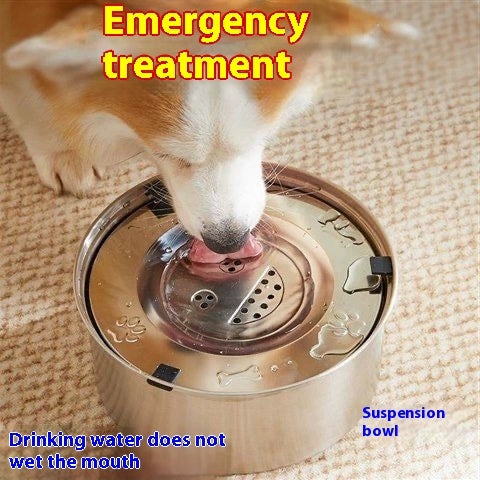 Dogs And Cats Supplies Drinking Water Large Capacity Bowl