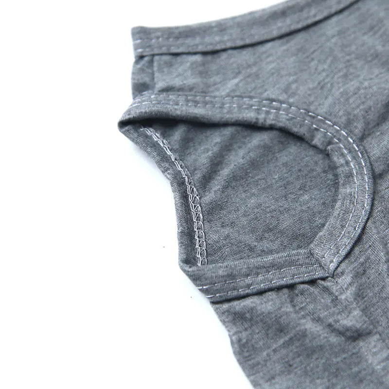 Teddy Dog Vest for Spring and Summer Pet Apparel