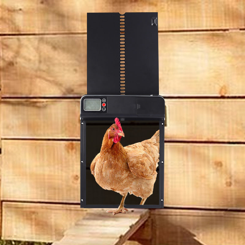 Automatic Chicken Coop Display Timing Door