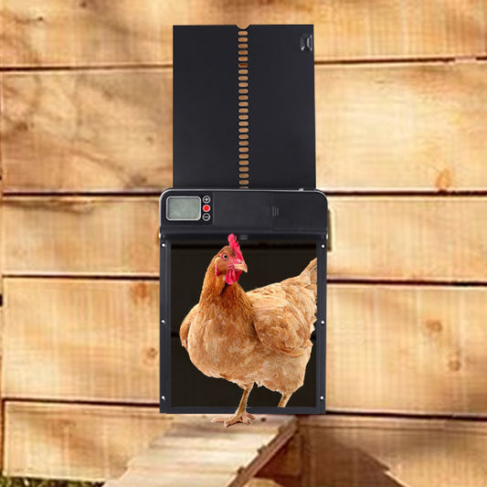 Automatic Chicken Coop Display Timing Door