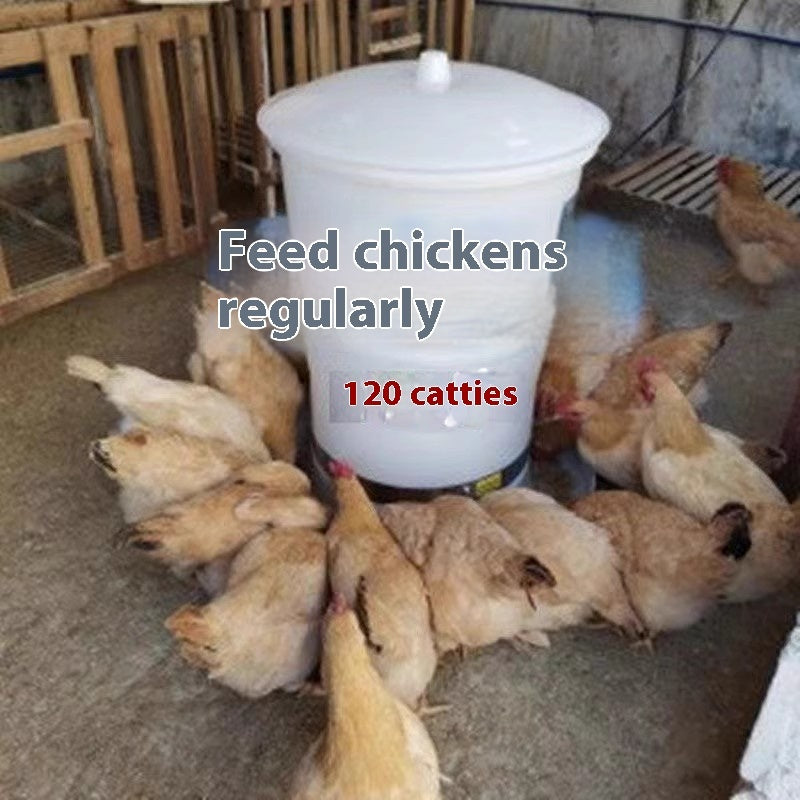 Feeder Chicken Feeding Pigeon Automatic