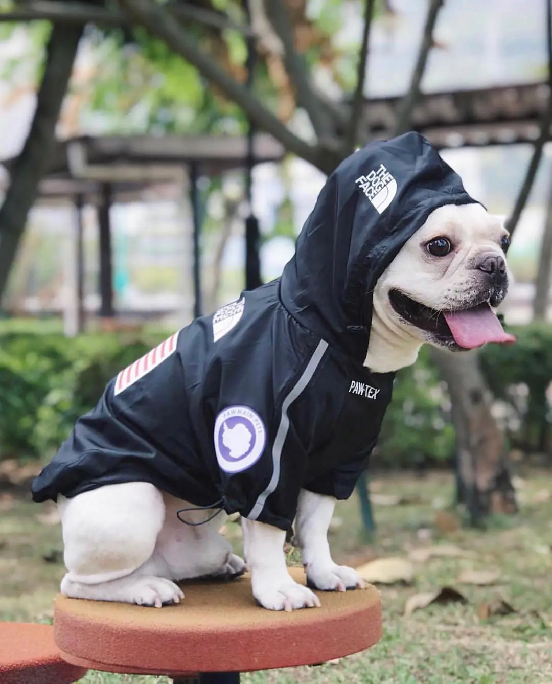 2020 New Waterproof Pet Raincoat for Dogs