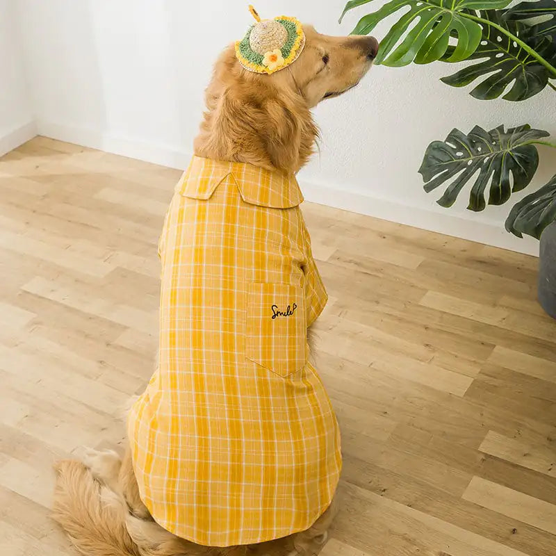 Golden Wool Shirt for Medium-Sized Labrador Dogs