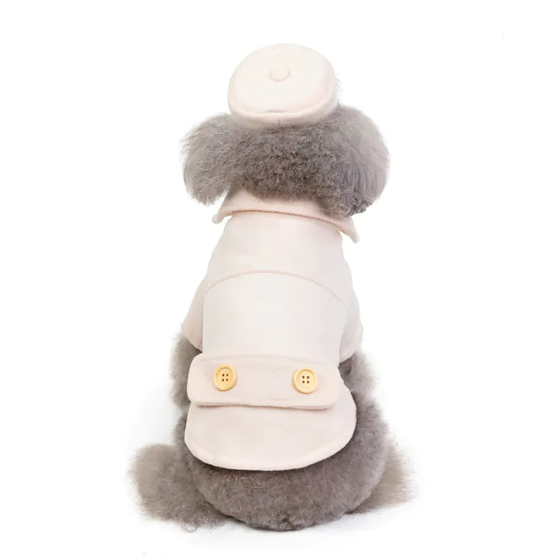 New Autumn Winter Pet Dog Clothes 2019 Collection