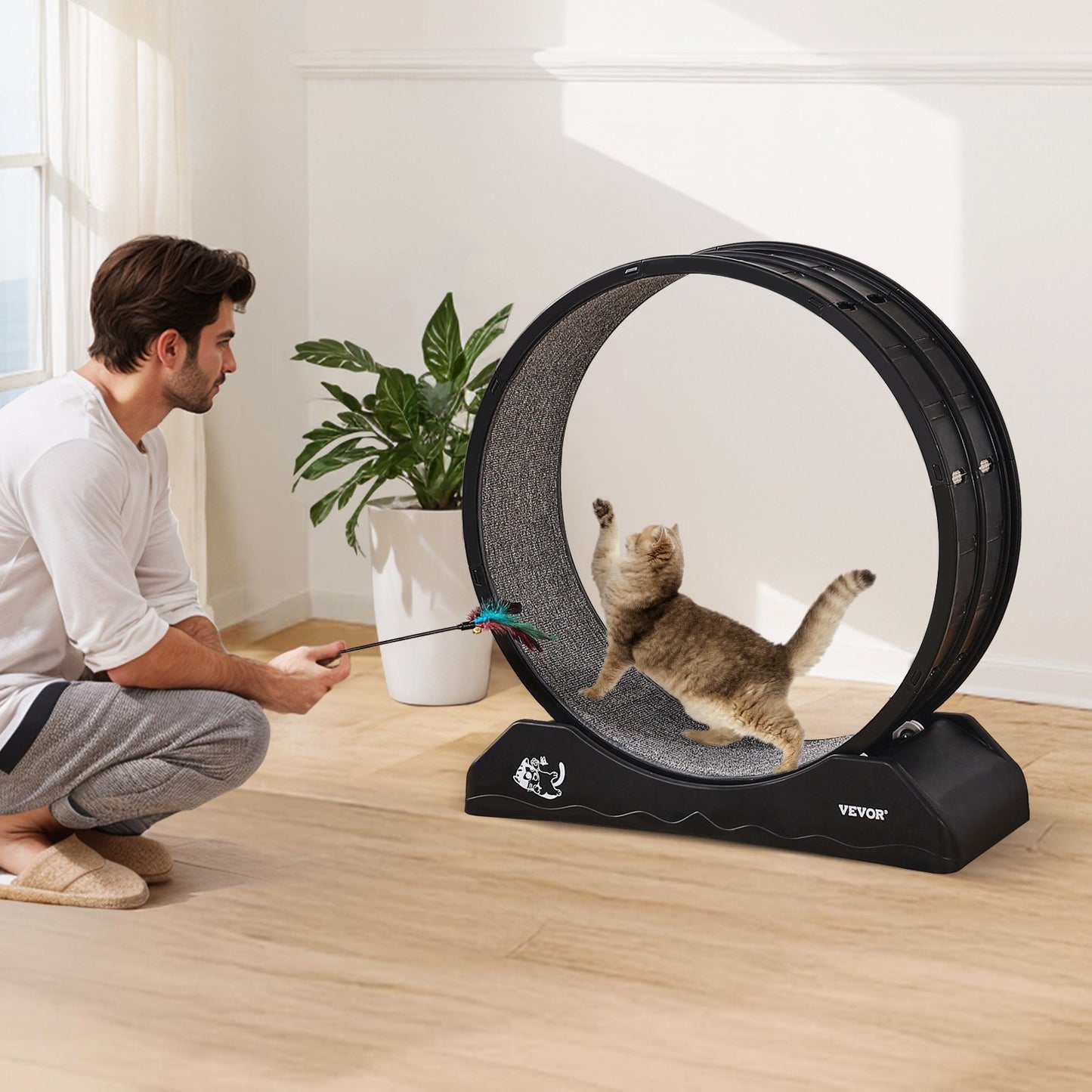 Cat Exercise Wheel 31.5 In Large Indoor Cat Running Wheel Treadmill Black
