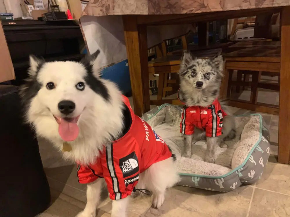 2020 New Waterproof Pet Raincoat for Dogs