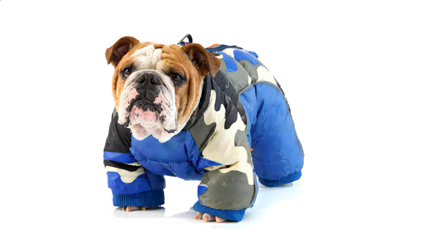 Pet Dog Winter Clothes - Multi-Tone