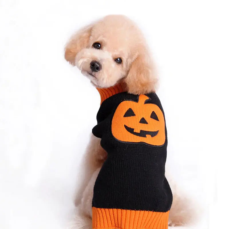 Knitted Pumpkin Sweater for Dogs - Halloween Theme
