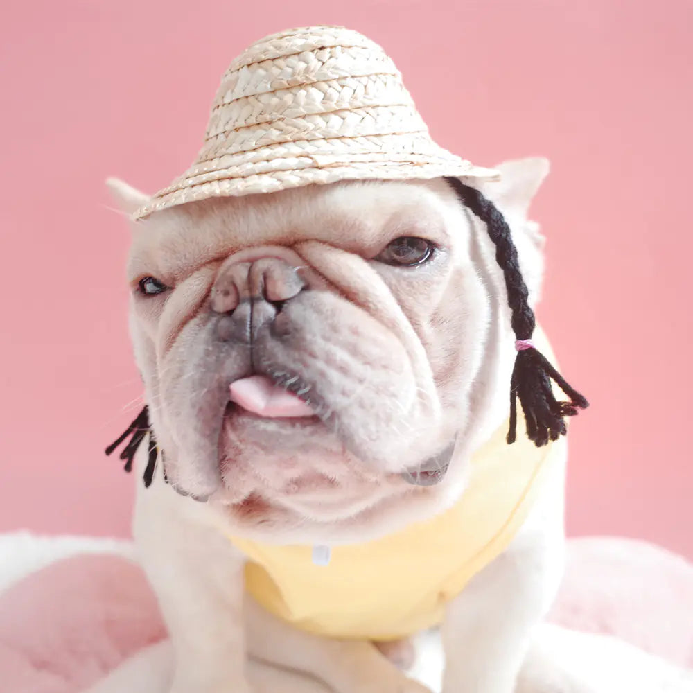 Dog and Cat Double Braid Straw Hat (French Style)