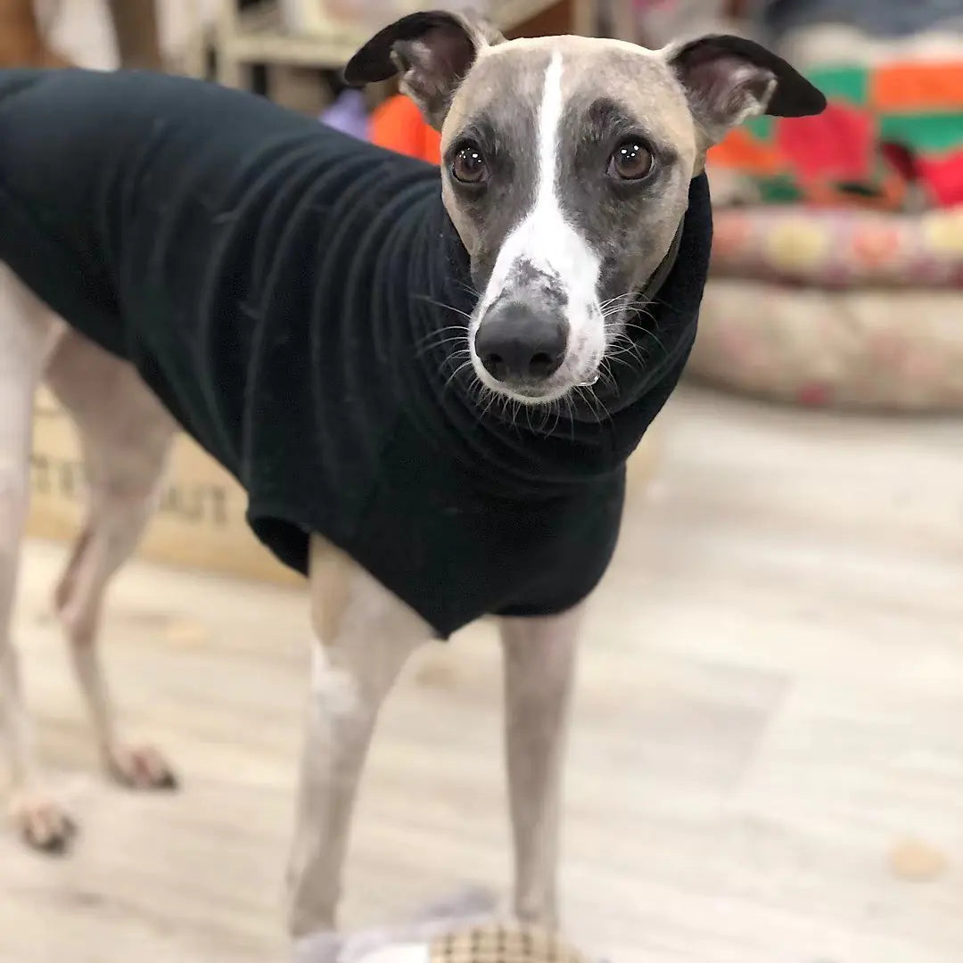 Black Friday Kickoff!   Soft Polar Fleece Turtleneck for Dogs