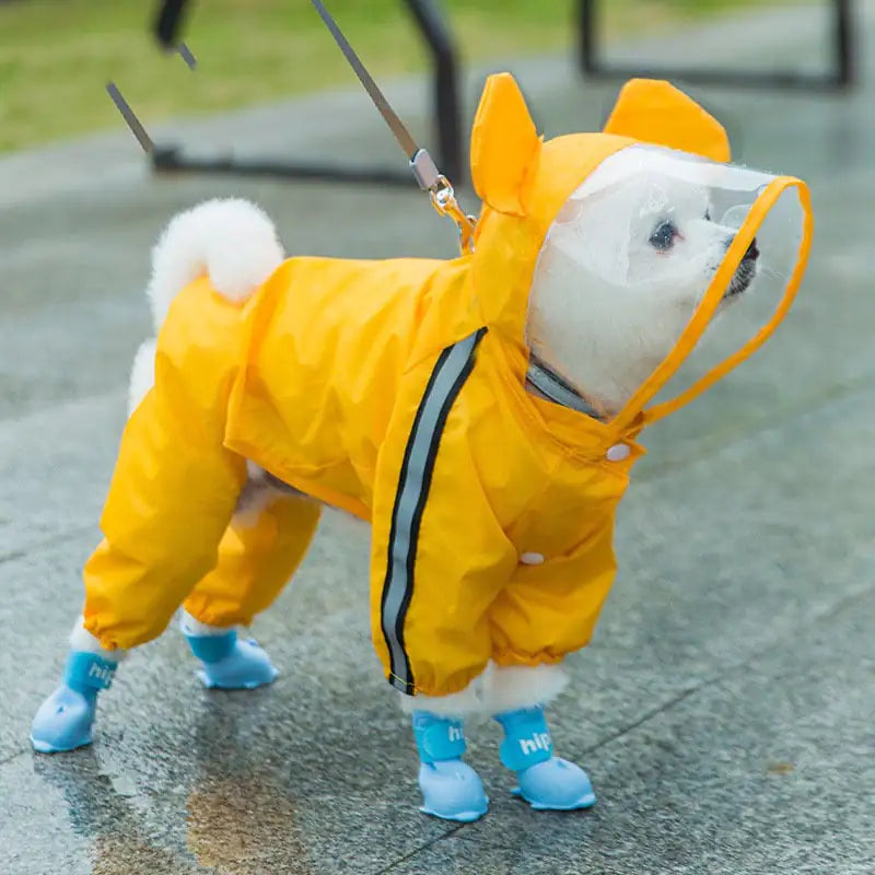 Autumn Rain Clothes for Small Dog Puppies