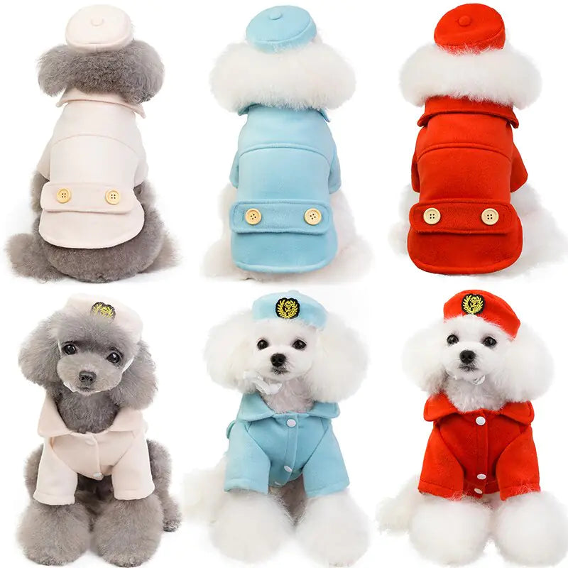 New Autumn Winter Pet Dog Clothes 2019 Collection