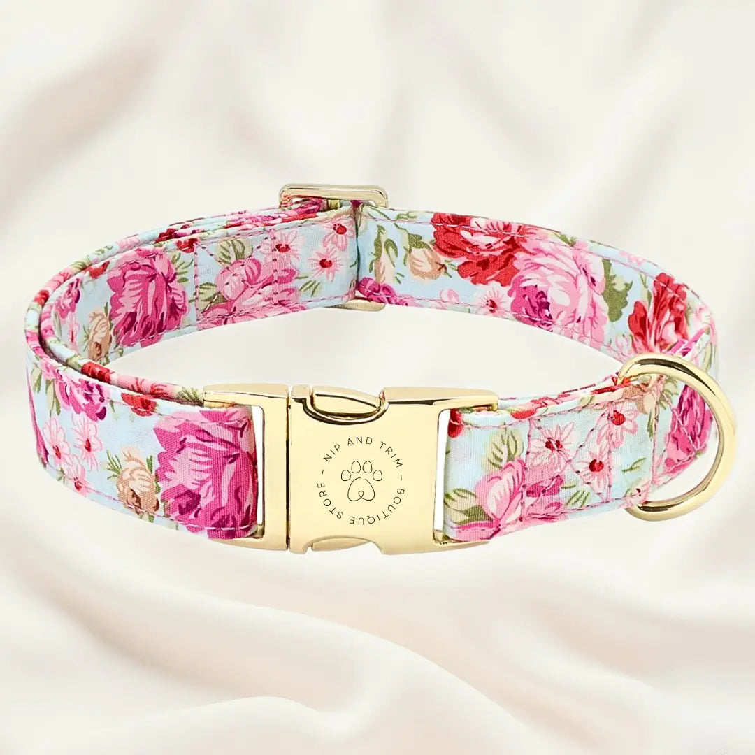 Custom Dog Collar with Personalized Name Tag