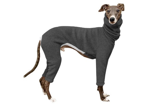 Windproof Jacket for Dogs - Punching Raincoat Design