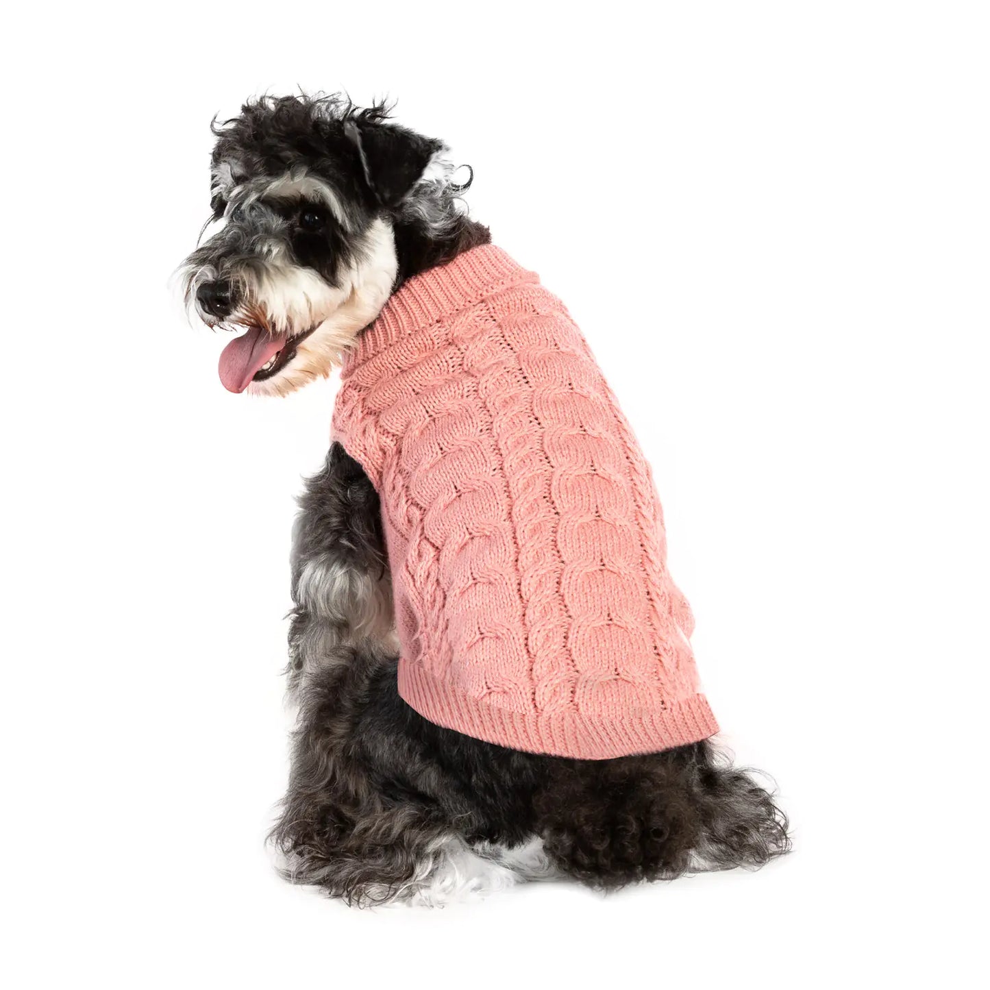Warm Woolen Pet Clothes for Autumn and Winter