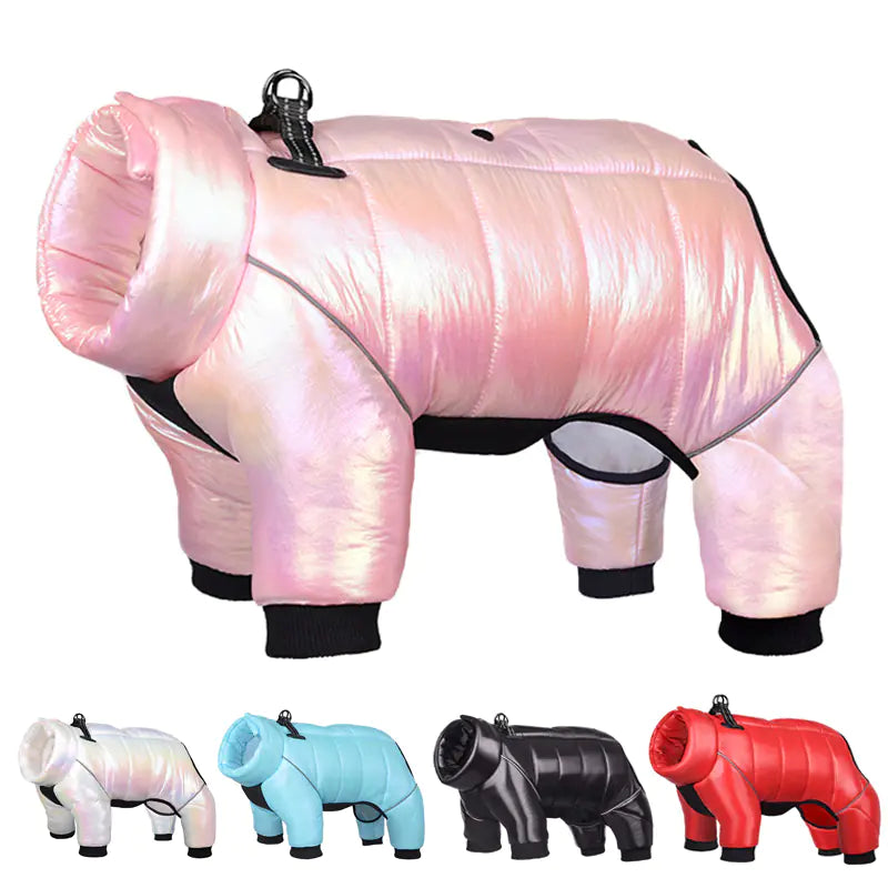 Black Friday Kickoff!   Waterproof Dog Winter Coat – Warm Down Jacket for Small Breeds