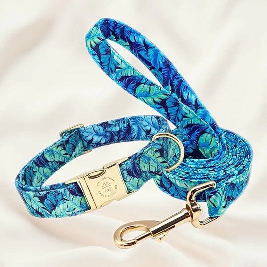 Custom Dog Collar with Personalized Name Tag