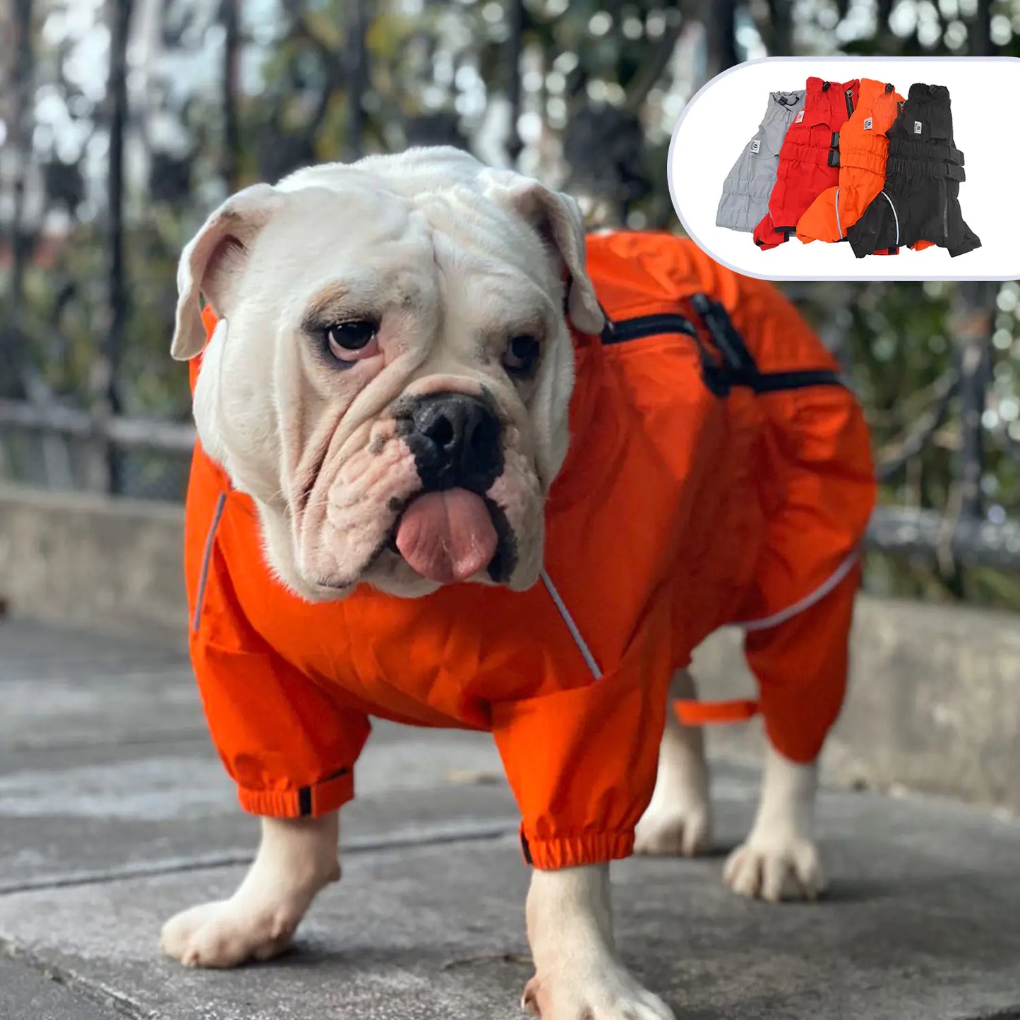 Outdoor Four-Legged Dog Raincoat Pet Apparel