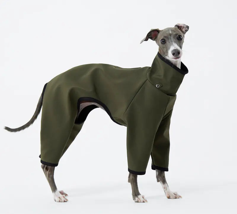 Windproof Jacket for Dogs - Punching Raincoat Design
