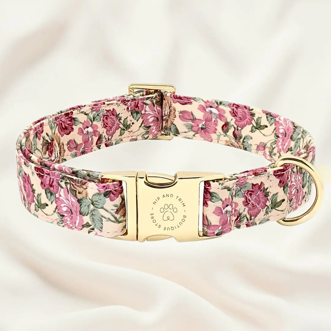 Custom Dog Collar with Personalized Name Tag