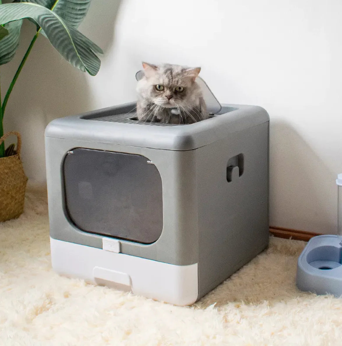 Extra Large Enclosed Cat Litter