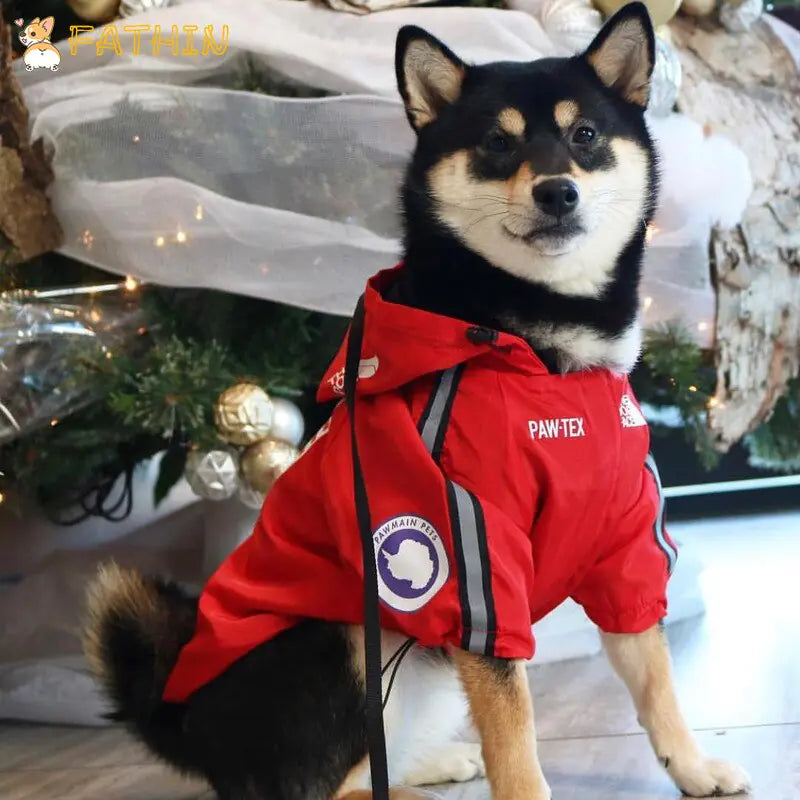 2020 New Waterproof Pet Raincoat for Dogs