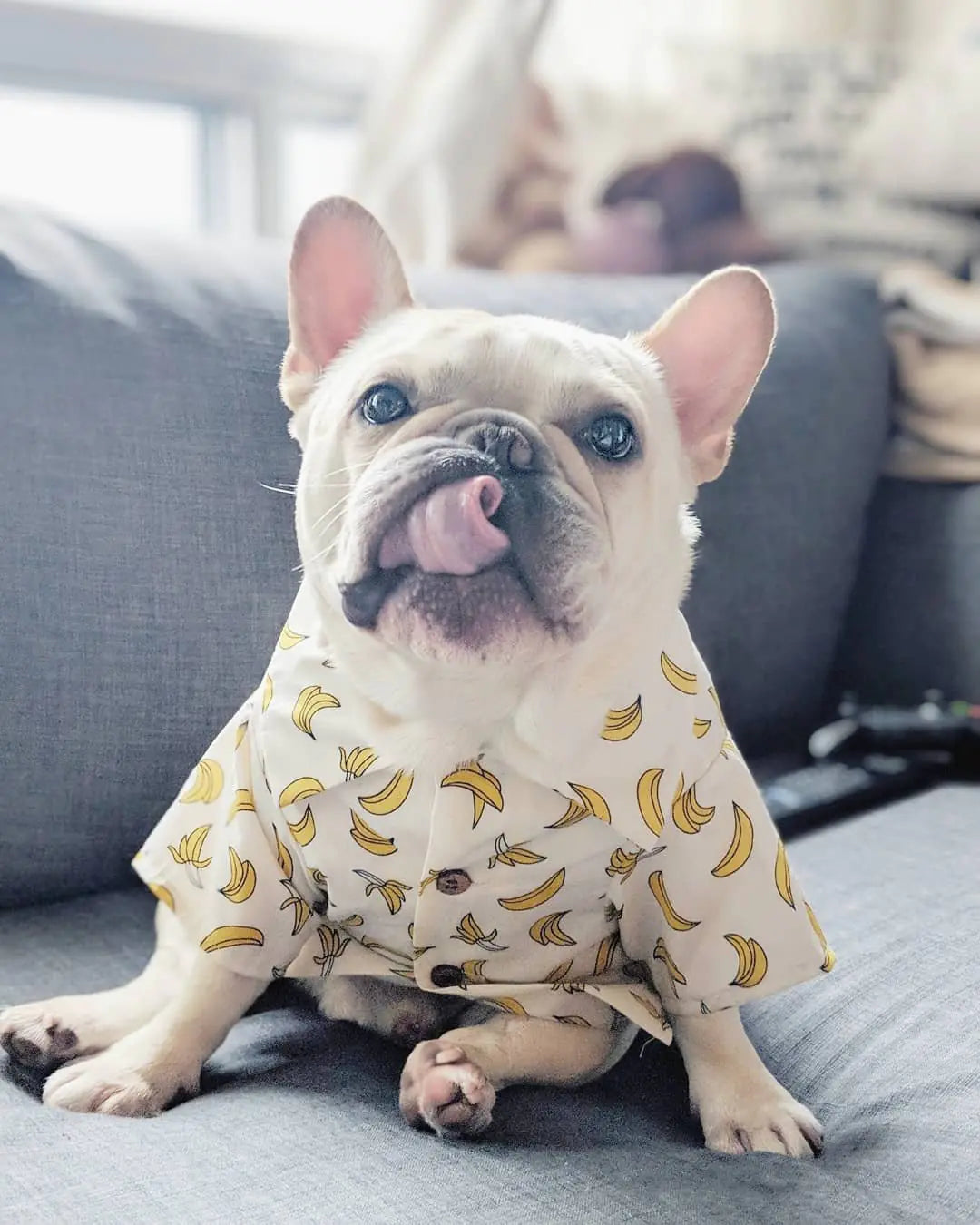 Summer Pet Printed Cotton Outfits for Small Dogs