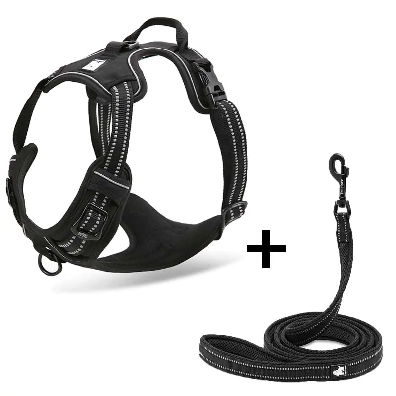 Pet Dog Harness and Leash for Walking