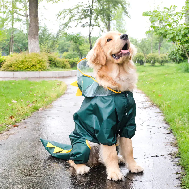 All-Inclusive Raincoat for Four-Legged Pets