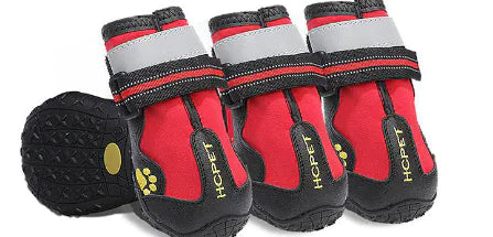 Pet Rain Shoes for Golden Retrievers