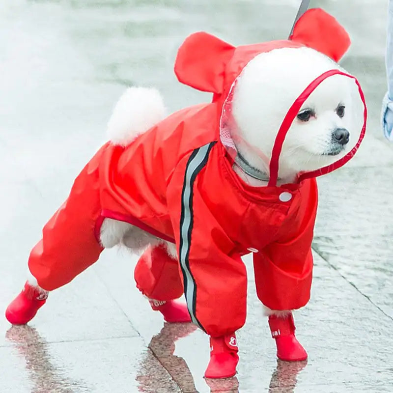 Autumn Rain Clothes for Small Dog Puppies