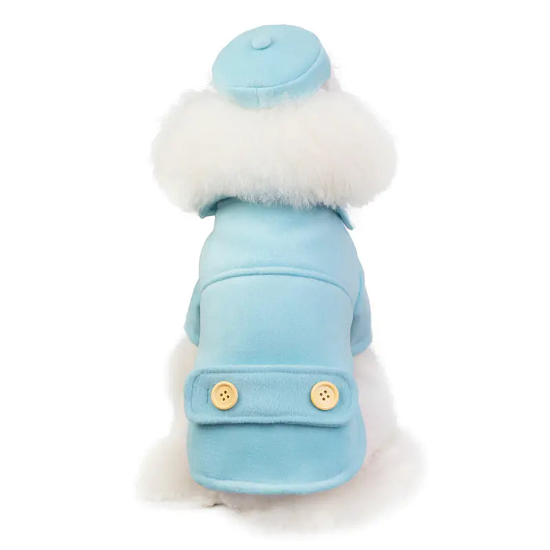 New Autumn Winter Pet Dog Clothes 2019 Collection