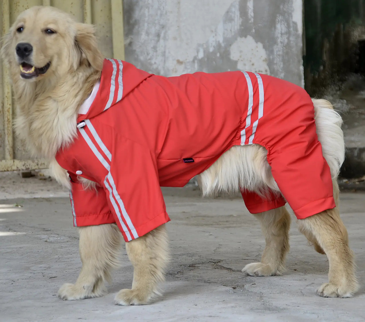 Large and Medium Dog Raincoat for All Seasons