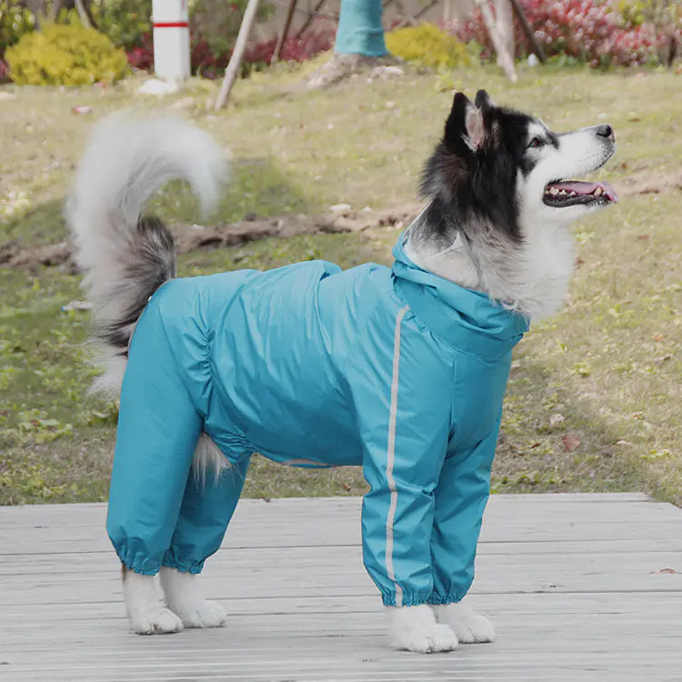 Medium and Large Dog Poncho for Rainy Days