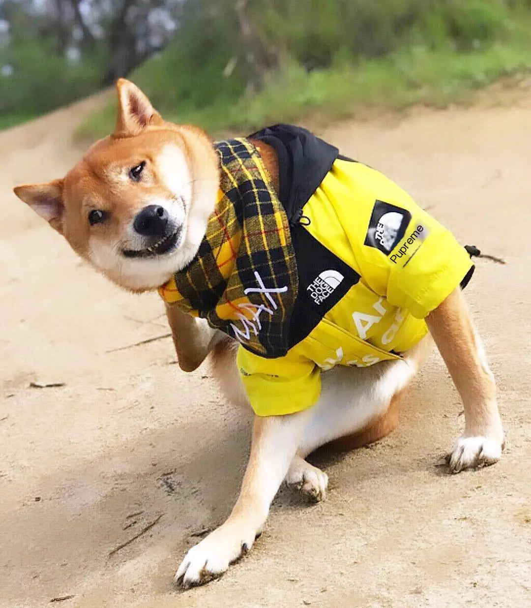 Dog Rain Jacket for Large Pets