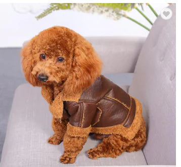 Punk Leather Sweater for Dogs - Autumn/Winter Wear
