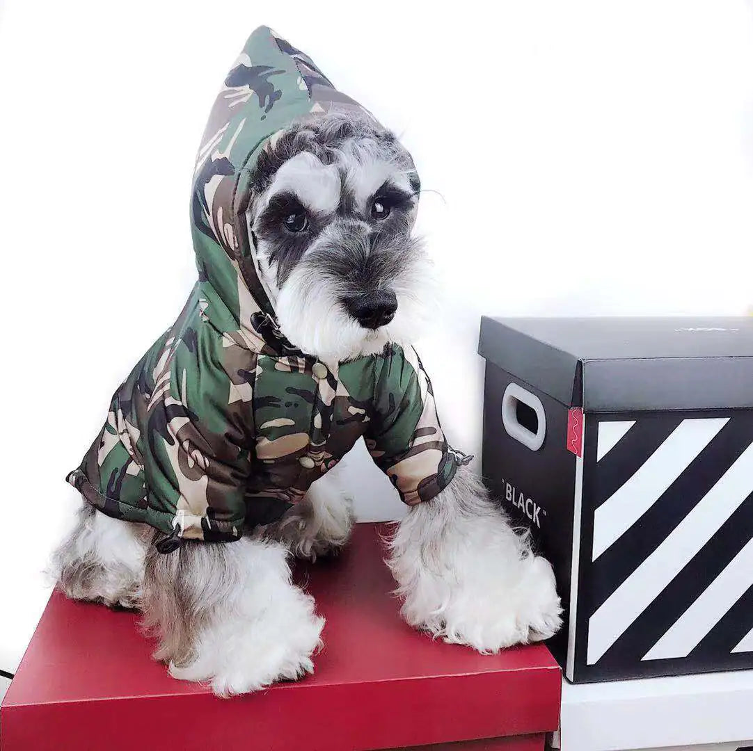 Waterproof Camouflage Raincoat for Dogs (Teddy, Schnauzer)