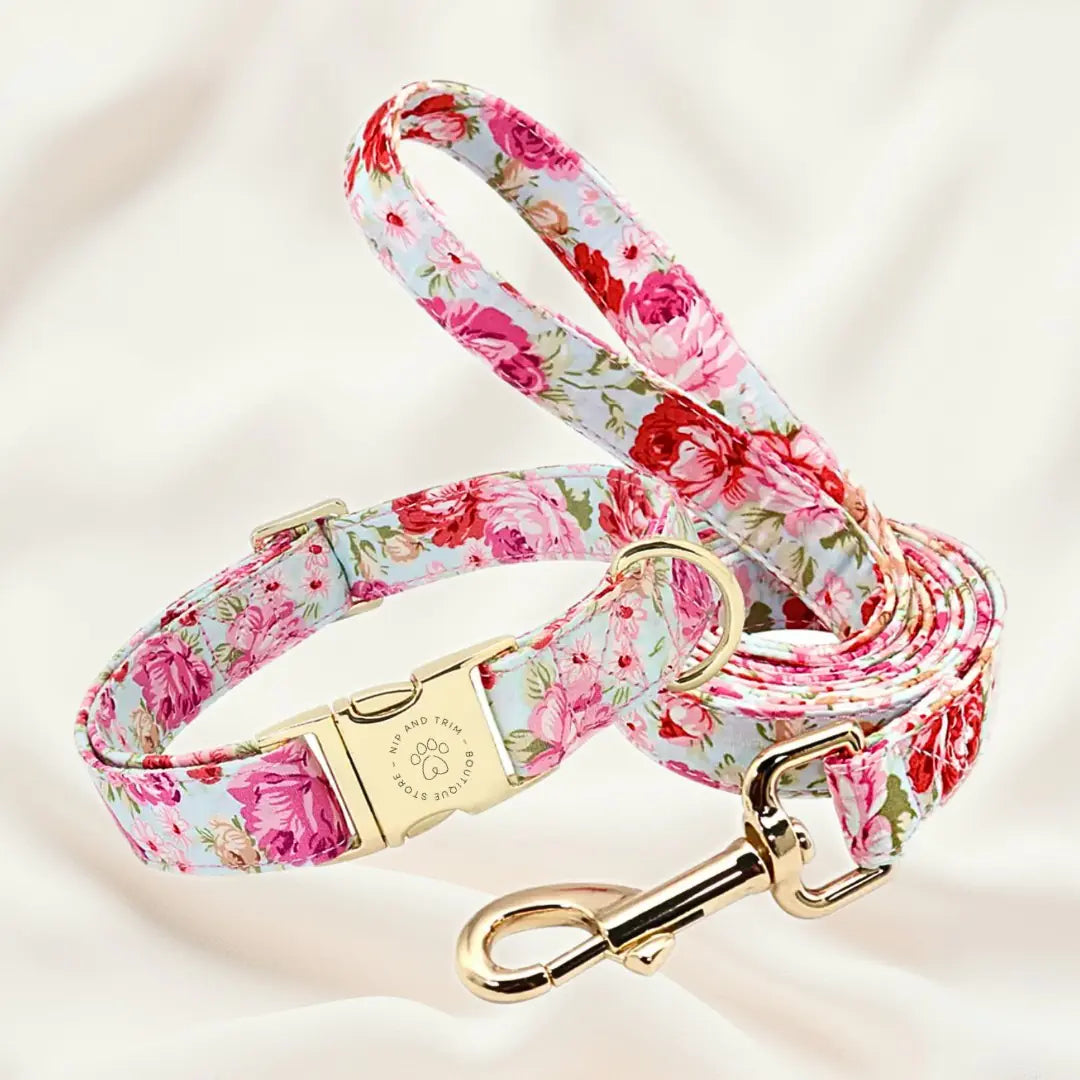 Custom Dog Collar with Personalized Name Tag