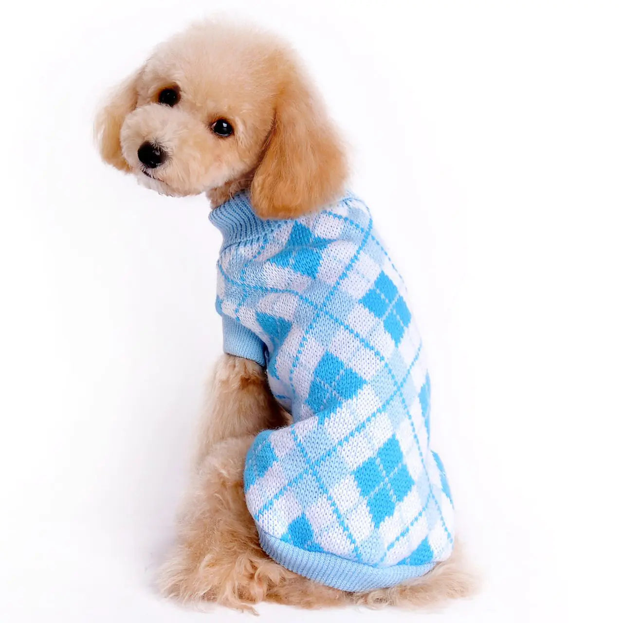 Knitted Fall/Winter Pet Sweater for Dogs (Teddy/Poodle)