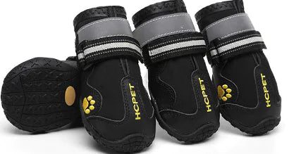 Pet Rain Shoes for Golden Retrievers
