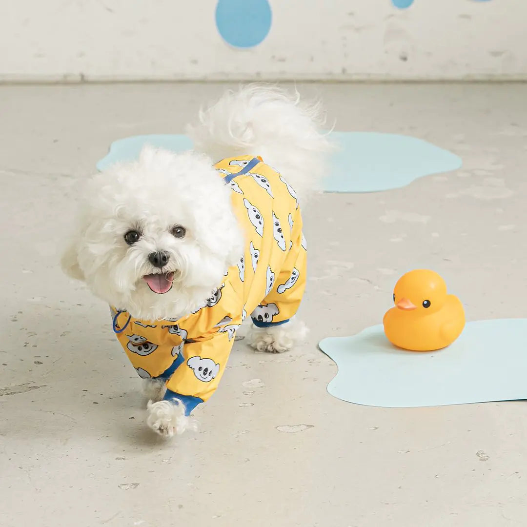 Waterproof Full Coverage Raincoat for Small Dogs