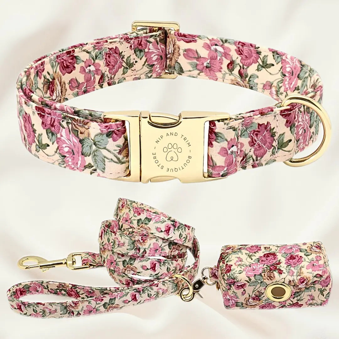 Custom Dog Collar with Personalized Name Tag