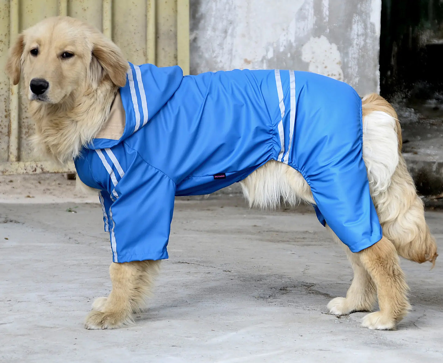 Large and Medium Dog Raincoat for All Seasons